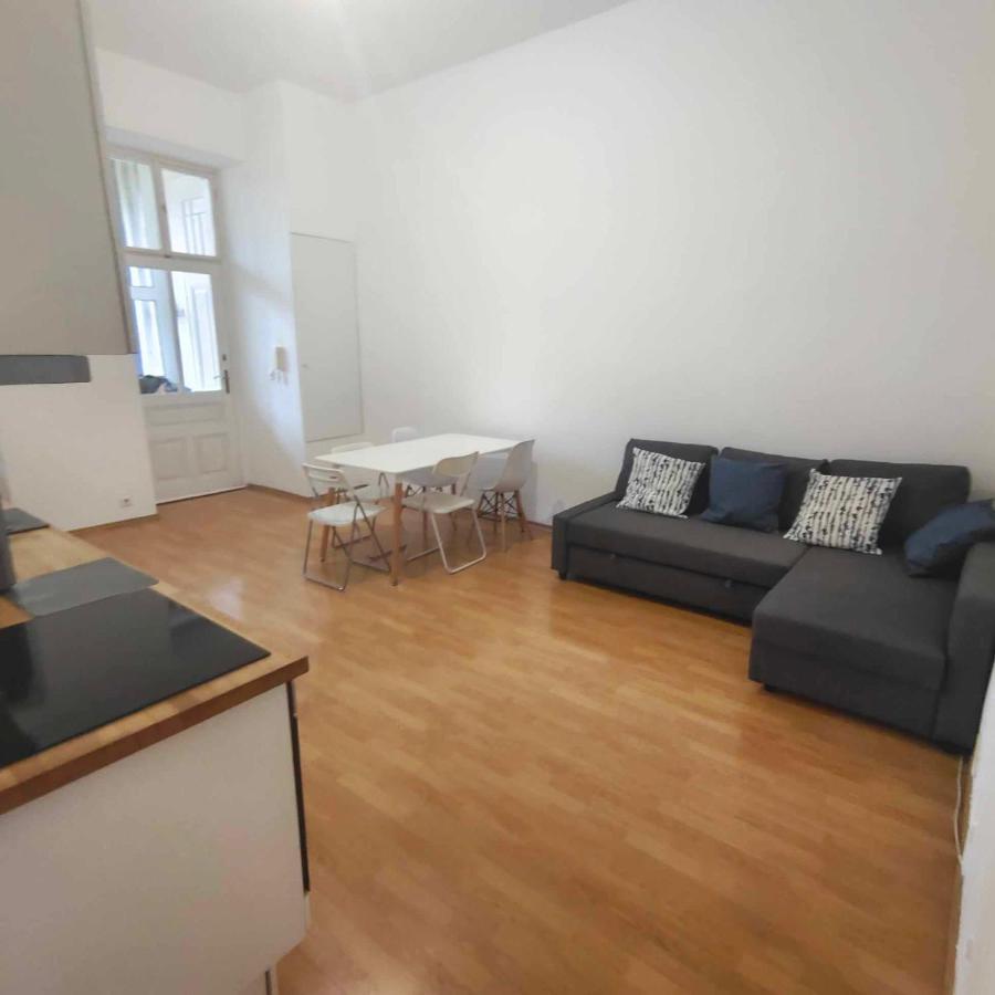 Large 4 Room Apartment In The Center Of 维也纳 外观 照片